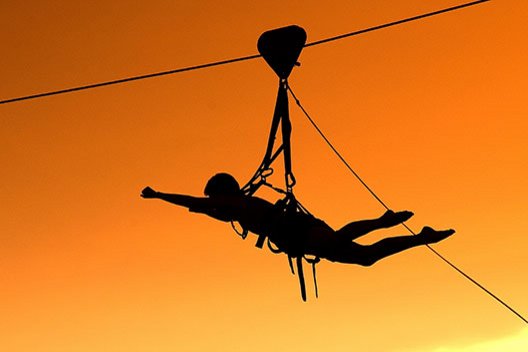 Flying Fox