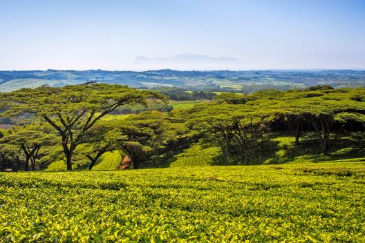Malawi