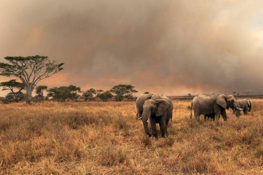 Tanzania Tanzania Reisen